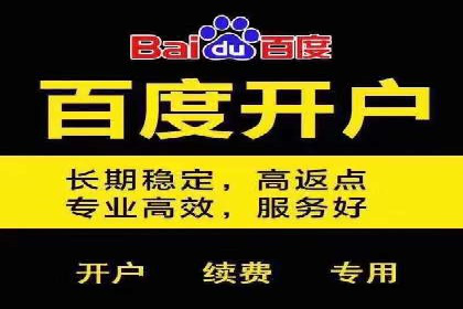 竞价推广代运营成功案例分析